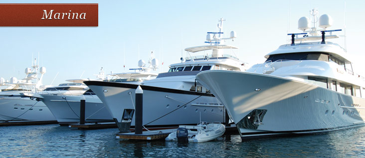 marina pic