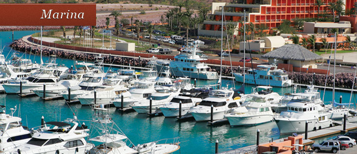 marina pic5