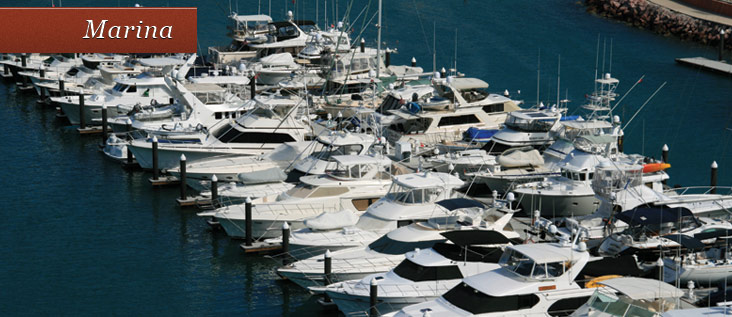 marina pic8