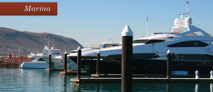 marina pic3