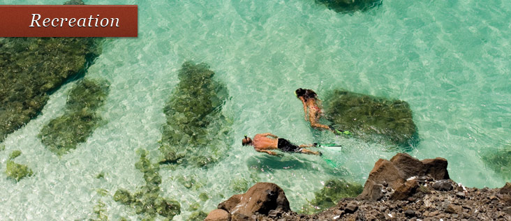 snorkel