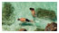 snorkeling