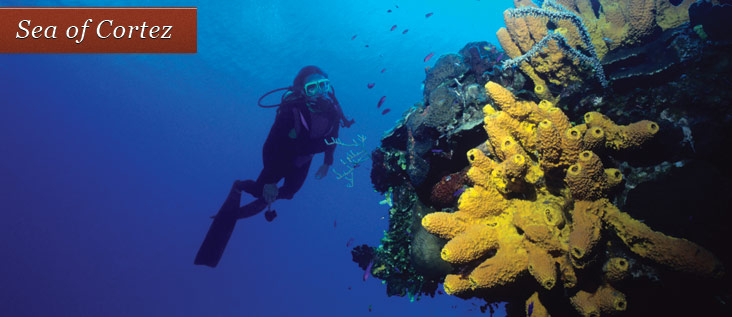 scuba pic
