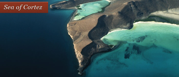 sea